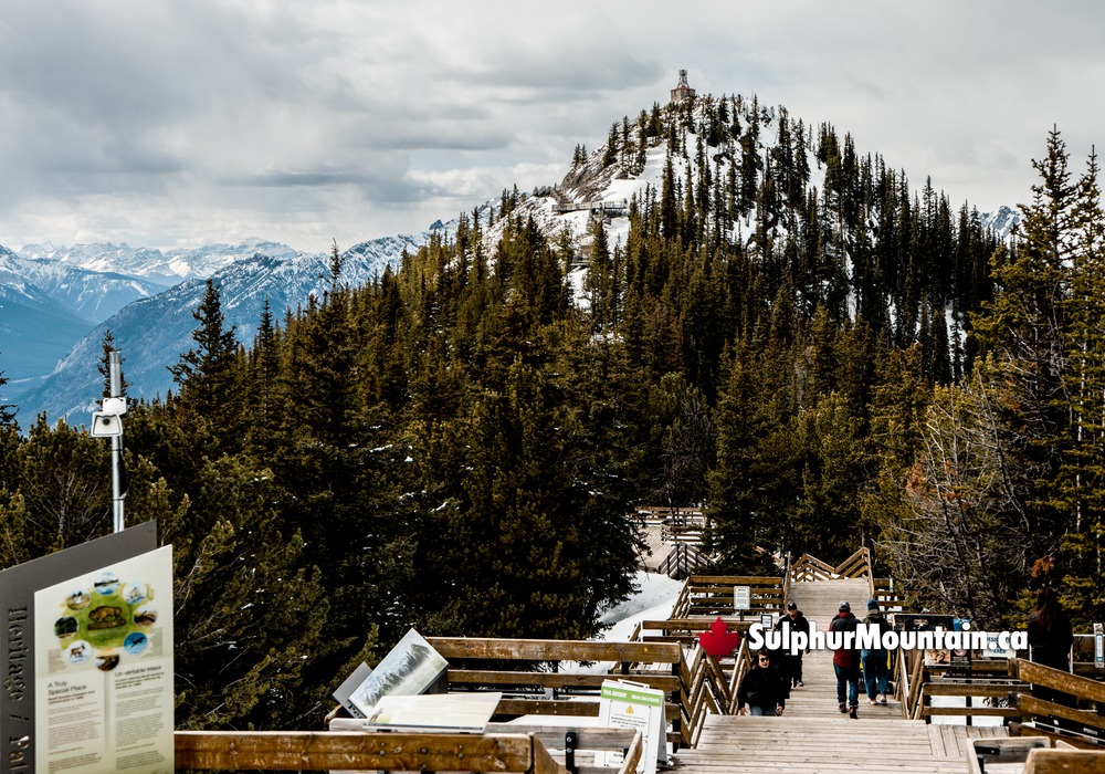 Sulphur Mountain Historic Site Walkway Visitors and Signs Banff Gondola